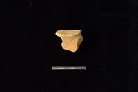 藏品(陶片)的圖片